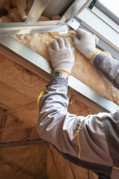 Best Insulation Removal  in Loch Sheldrake, NY